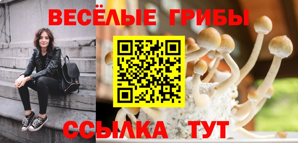 ГАШИШ  Конопля  Codein  Свободный  Alpha PVP СОЛЬ   МЕФ кристаллы  Кокаин  Вход с VPN 